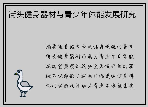 街头健身器材与青少年体能发展研究